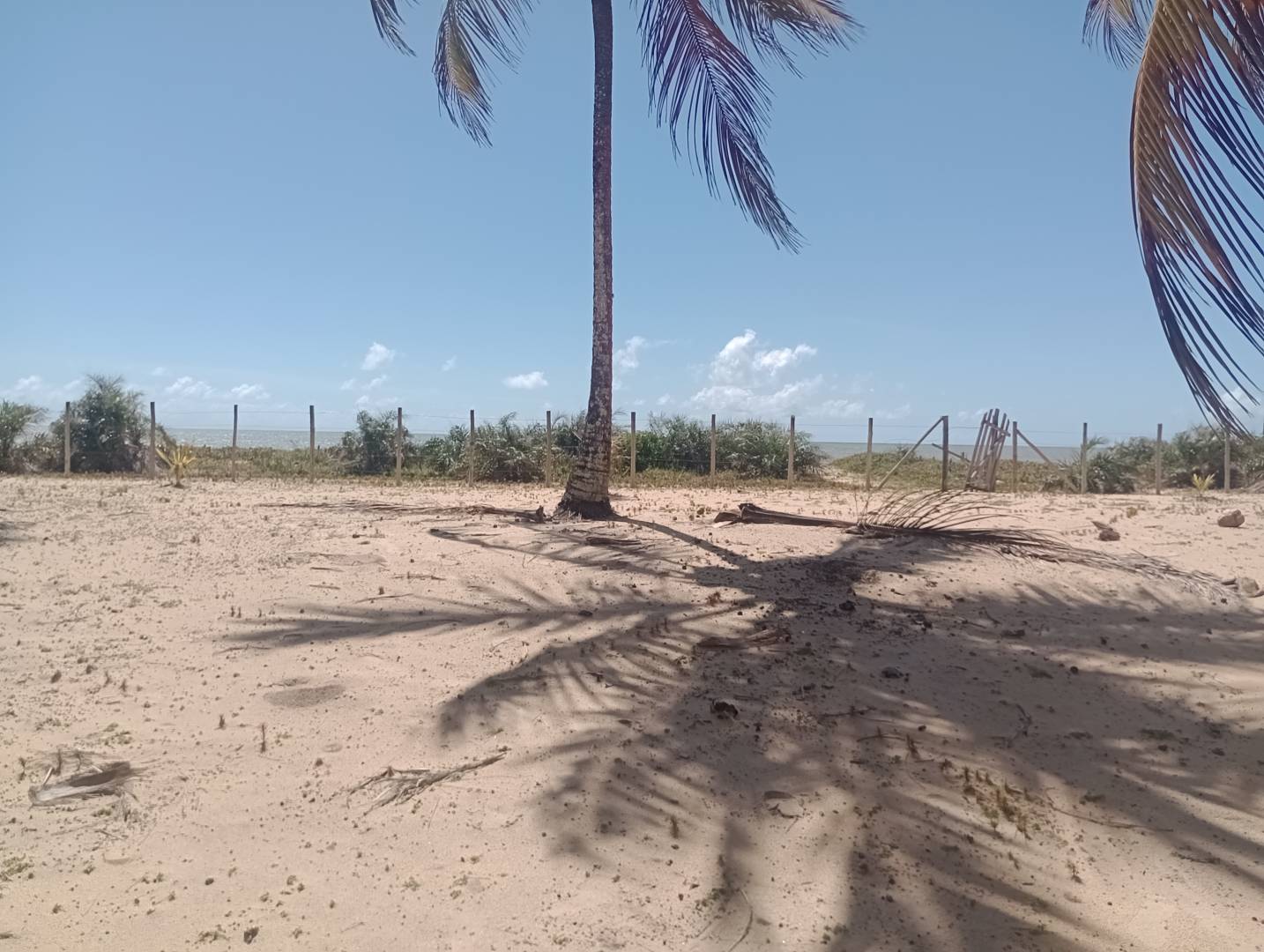 Terreno, 4 hectares - Foto 2