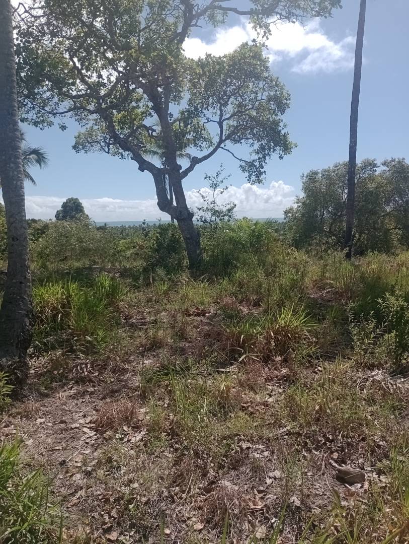 Terreno, 8200 m² - Foto 1