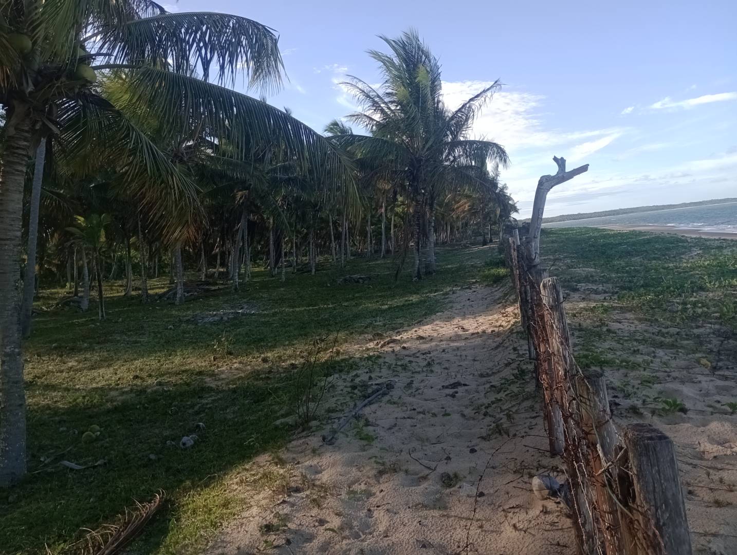Terreno, 1 hectares - Foto 1