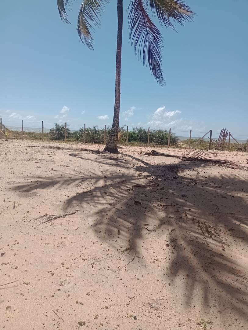 Terreno, 4 hectares - Foto 1