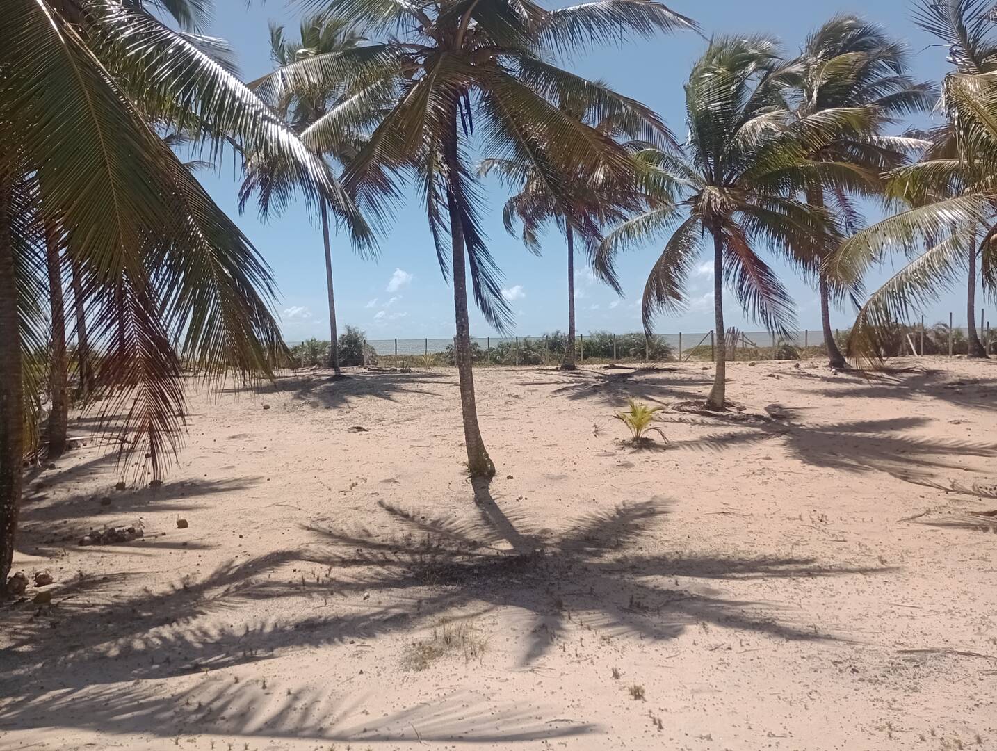 Terreno, 4 hectares - Foto 2