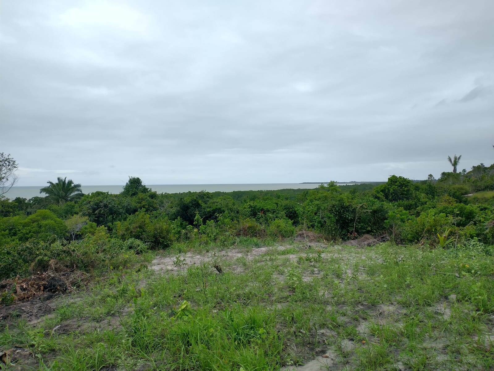 Terreno, 523 hectares - Foto 1