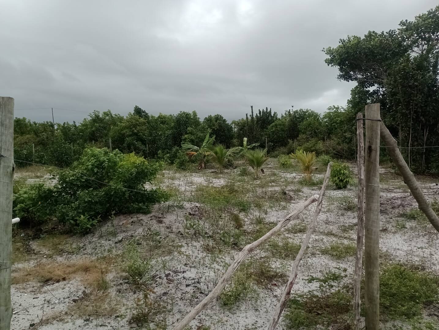 Terreno, 500 m² - Foto 1