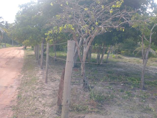 #18 - Área para Venda em Santa Cruz Cabrália - BA