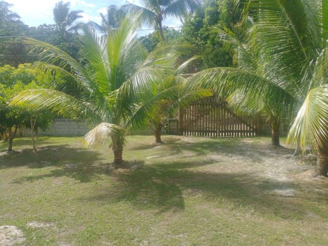 #28 - Casa para Venda em Santa Cruz Cabrália - BA - 2