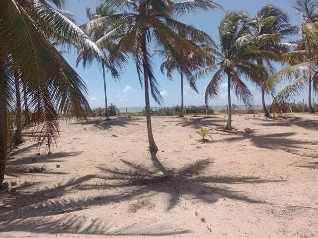 #29 - Área para Venda em Belmonte - BA