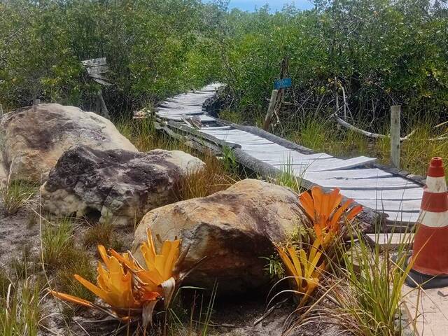 #32 - Sala para Venda em Belmonte - BA - 2