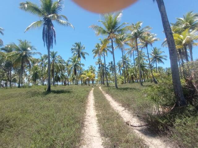 #35 - Área para Venda em Belmonte - BA