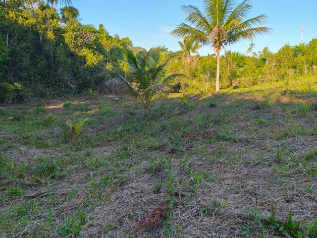 #43 - Chácara para Venda em Santa Cruz Cabrália - BA