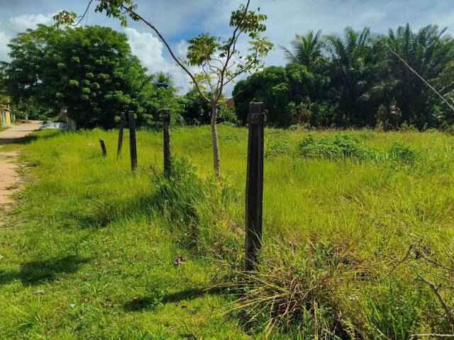 #44 - Área para Venda em Santa Cruz Cabrália - BA - 1