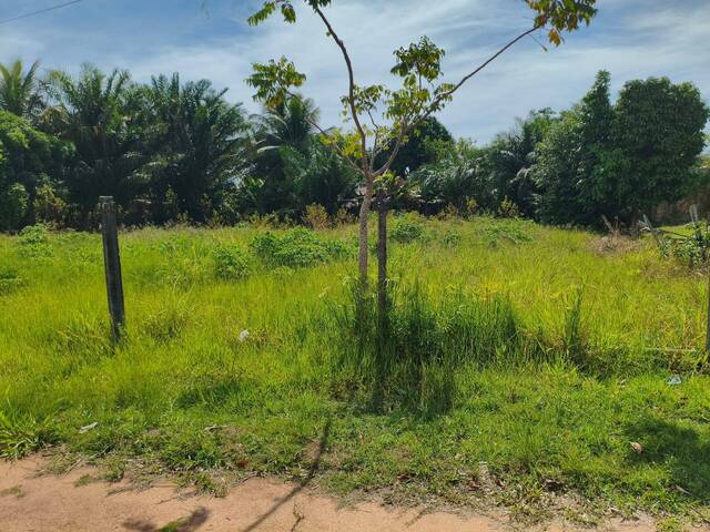 #44 - Área para Venda em Santa Cruz Cabrália - BA - 3