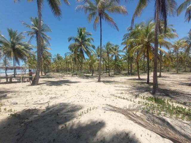 Venda em  - Santa Cruz Cabrália