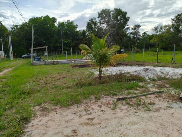 #47 - Área para Venda em Santa Cruz Cabrália - BA - 1
