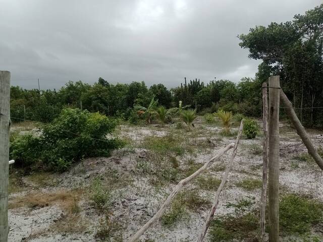 #50 - Área para Venda em Santa Cruz Cabrália - BA - 1